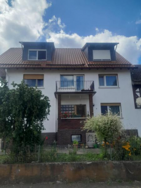 ZiniMiri Freiensteinau